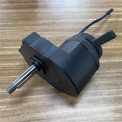 Mutur Brushless tas-Siġġu tar-Roti Elettriku