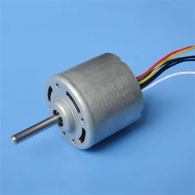 Mutur tar-Rotor Intern